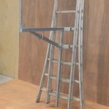 Ladderhaak